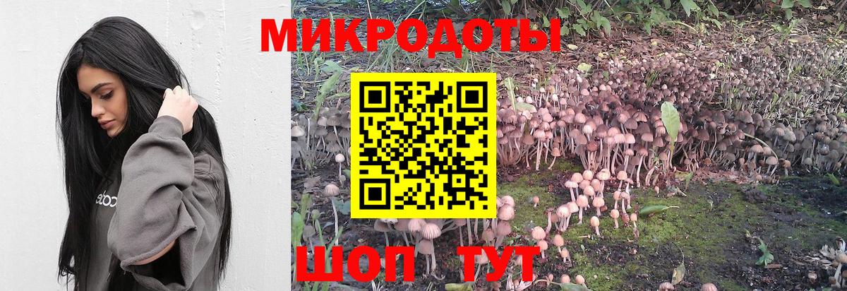дарнет шоп  Псилоцибиновые грибы GOLDEN TEACHER  Галлюциногенные грибы GOLDEN TEACHER  Вход с VPN  Сарапул 