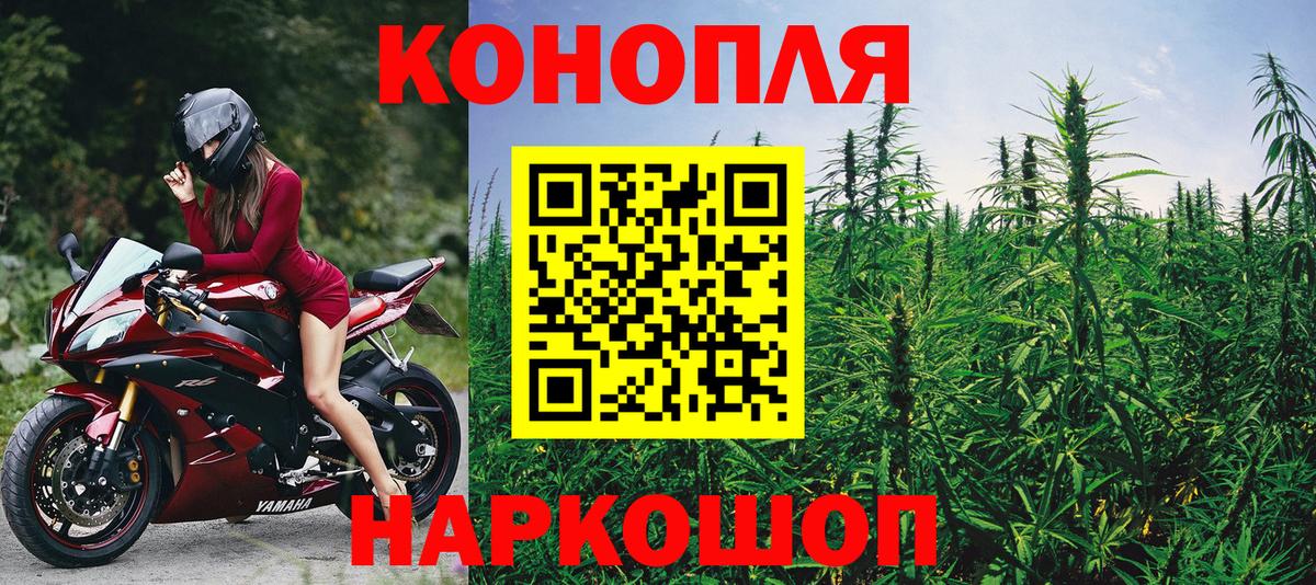 Канабис ГИДРОПОН Сарапул